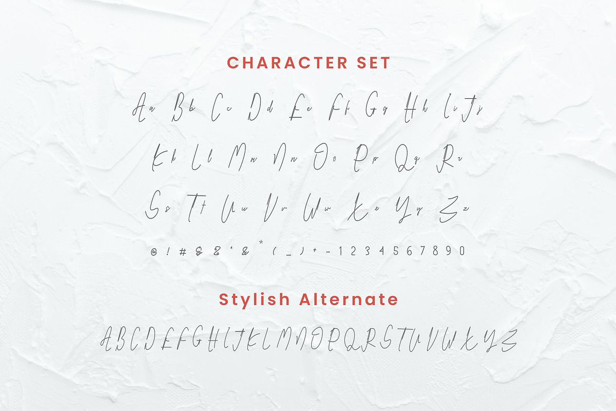 Royal Hamilton Signature, a Handwritten Font by Dhwstd (Photo 5 of 5)