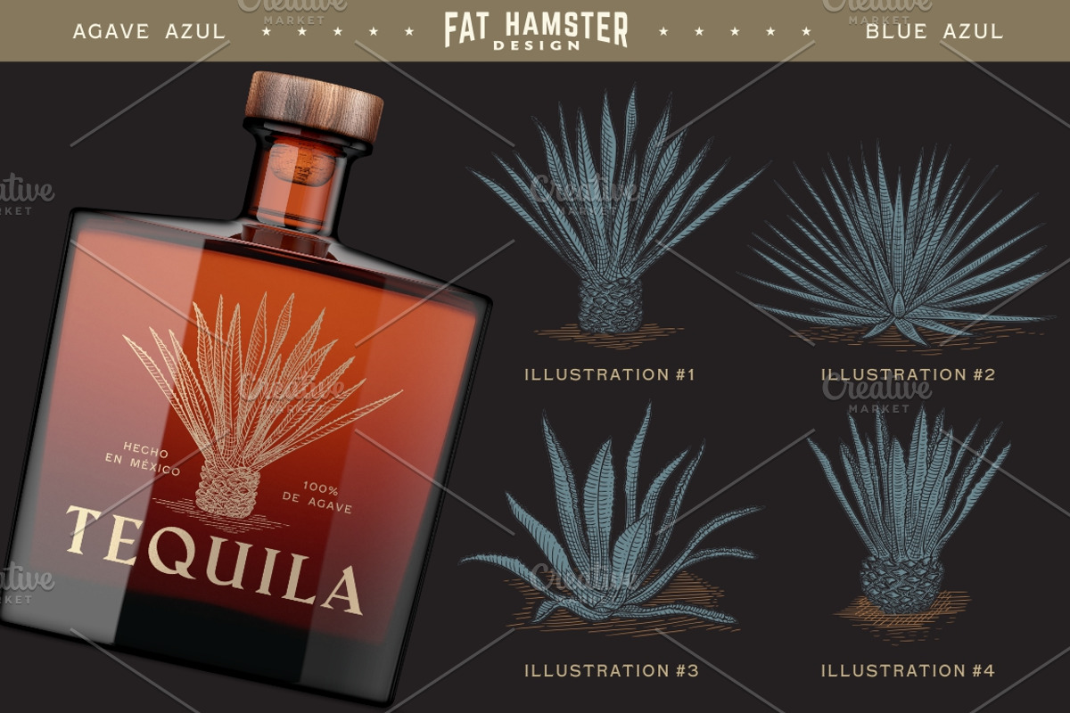 Agave hand drawn vector illustration, an Illustration by Fat Hamster (Photo 4 of 7)
