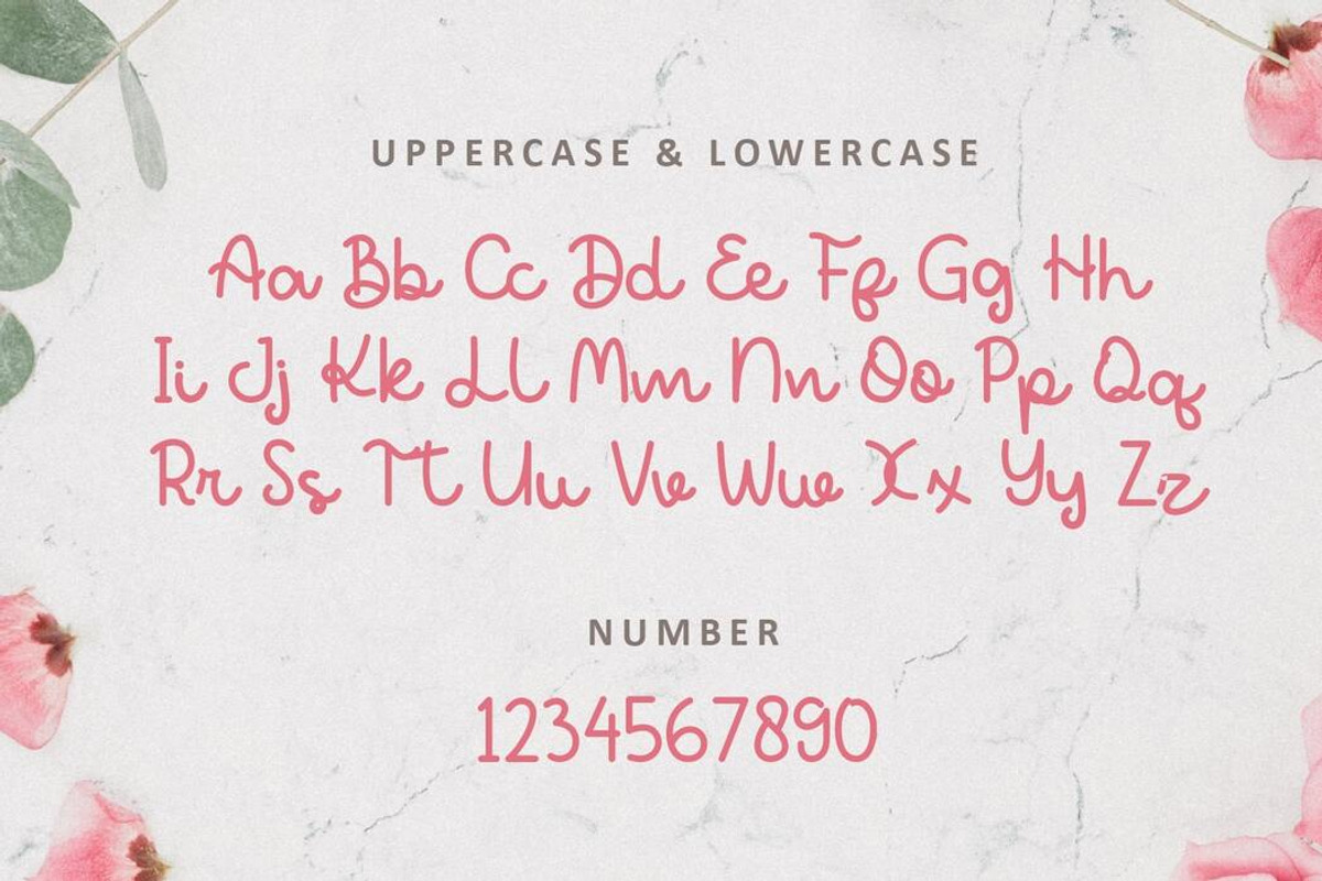 Agatha Kitty | Script Font, a Script Font by Suntype | Sunshine Std (Photo 4 of 7)