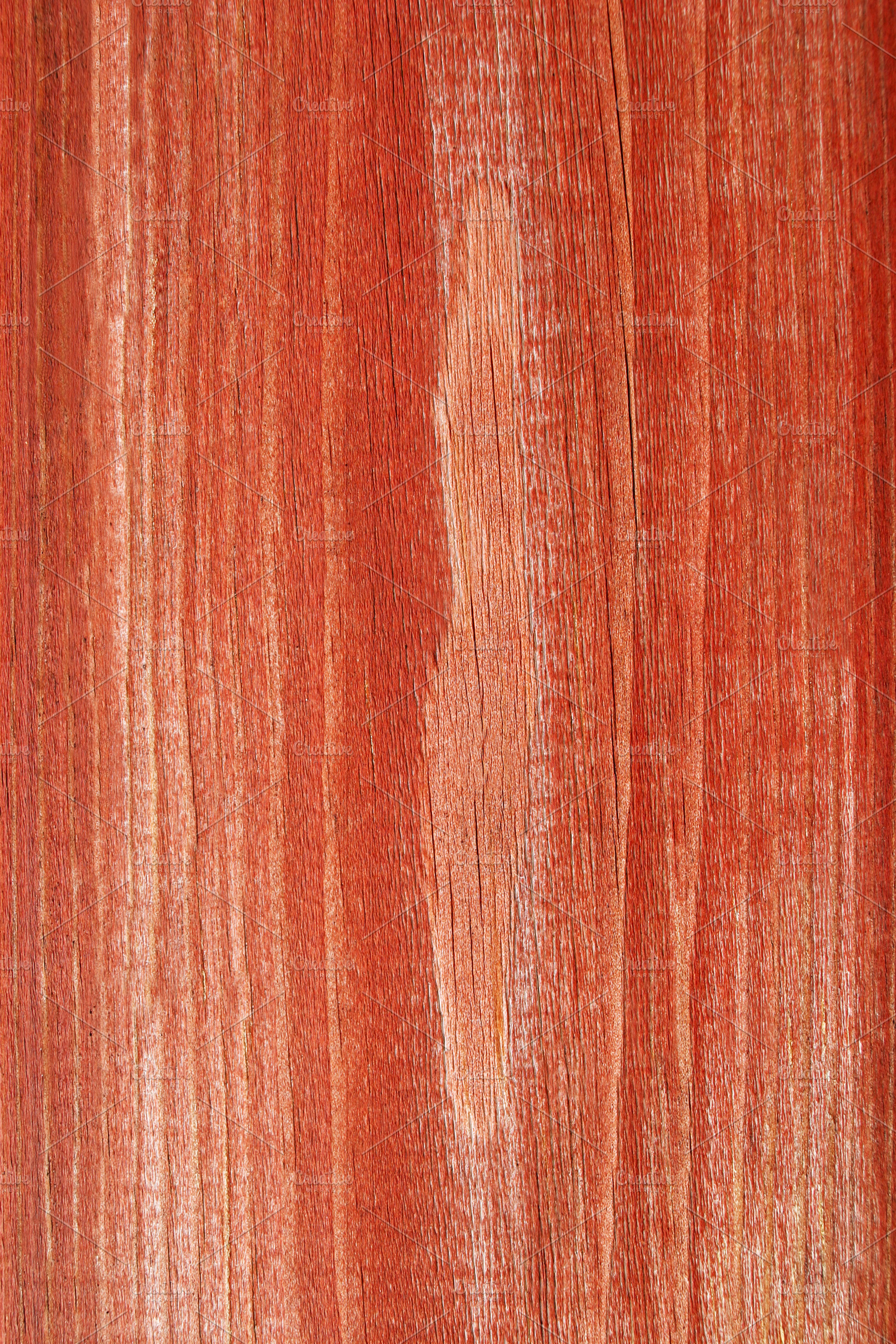 Red wood, a Photo by saiko3p