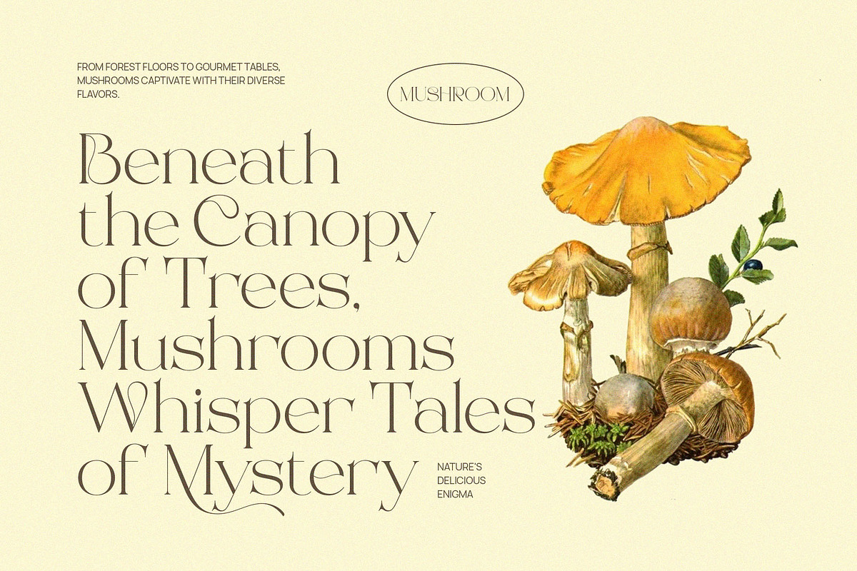 Beauty Rovesa Elegant Display Serif, a Serif Font by BrandSemut (Photo 13 of 15)