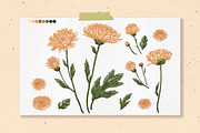 Flowers. Chrysanthemums, an Illustration by irina.vaneeva (Thumbnail 5 of 8)