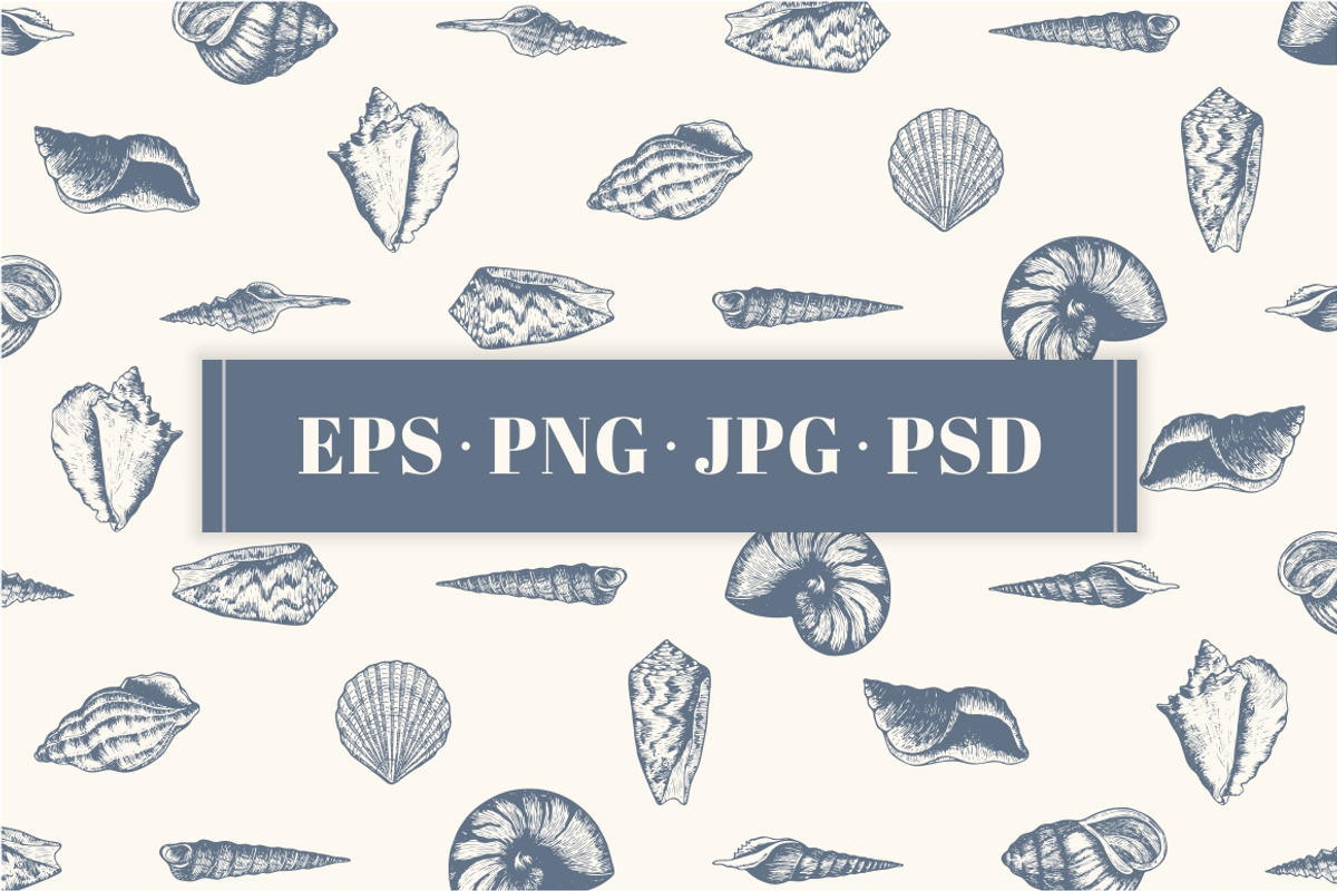 10 Hand Drawn Seashell + 5 Patterns, an Object Illustration by Storyteller Imagery (Photo 2 of 7)