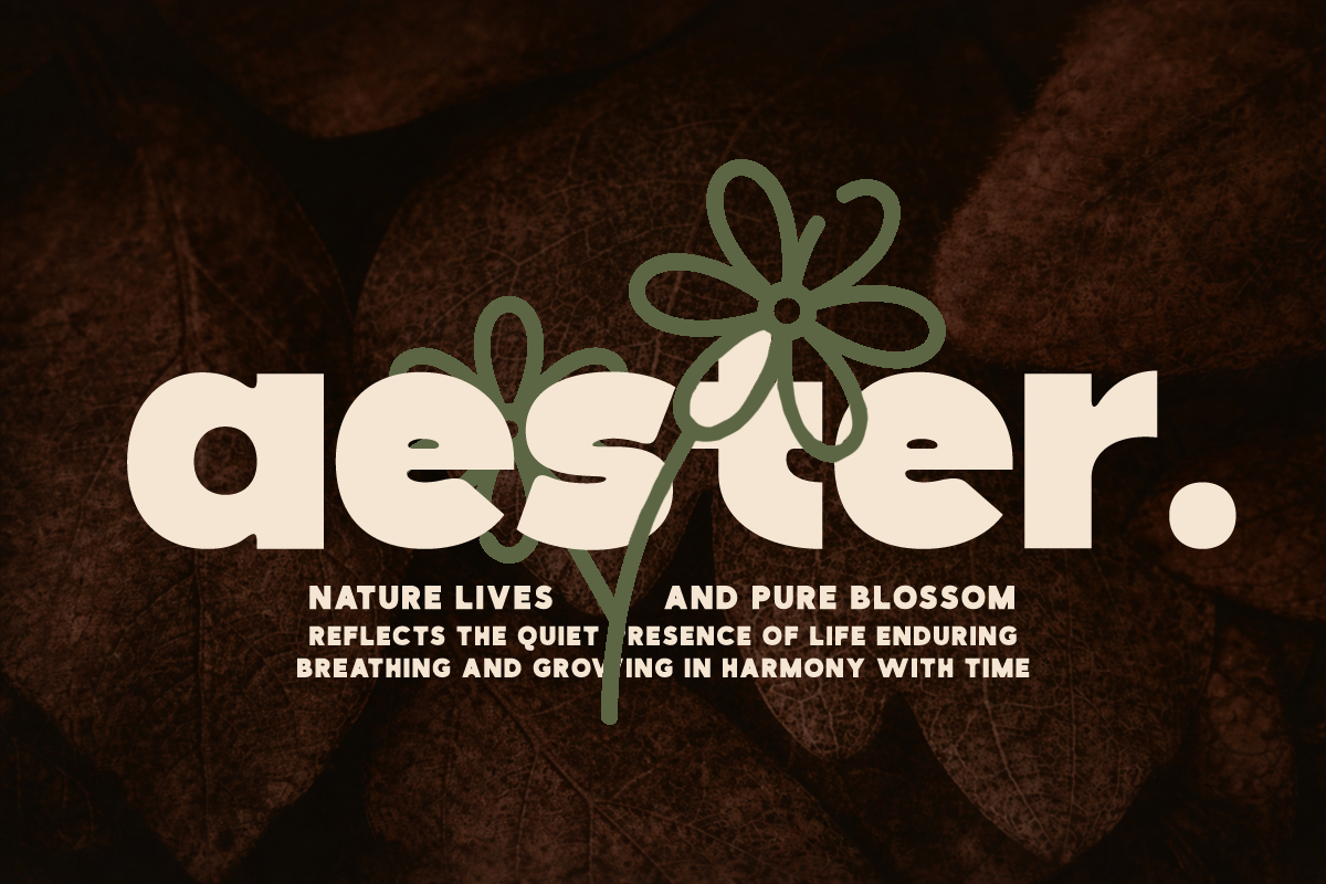 Boldeon Modern Typeface Font, a Sans Serif Font by Rasio Studio (Photo 6 of 9)