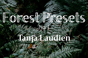 Lightroom Presets - Forest No. 1