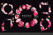 Peony Floral Clip Art, an Object Graphic by Eclectic Anthology (Thumbnail 15 of 17)