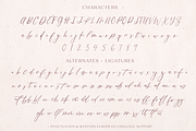 Fall Ember Calligraphy Font, a Script Font by Beck McCormick (Thumbnail 11 of 11)