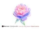 Watercolor Peony Flowers Clipart, an Object Illustration by crafty (Thumbnail 5 of 10)
