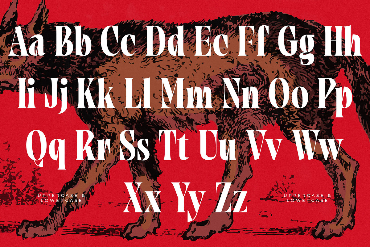 Tieldsa Bold Serif Display Font, a Serif Font by timelesstype.co (Photo 4 of 20)