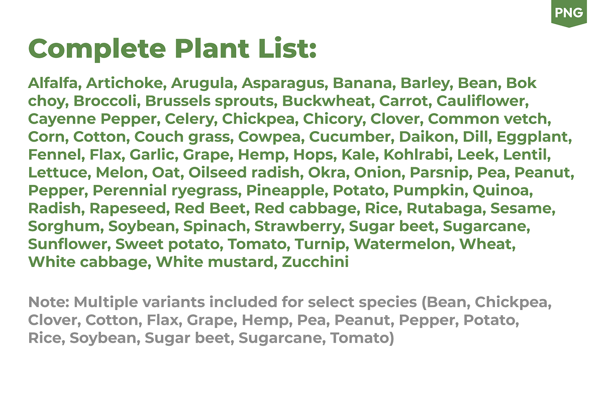 PLANT GROWTH CYCLE COLLECTION, a Nature Photo by Ilia Design (Photo 6 of 8)