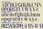 Resilience Expressed Font, a Serif Font by 177Studio (Thumbnail 8 of 8)