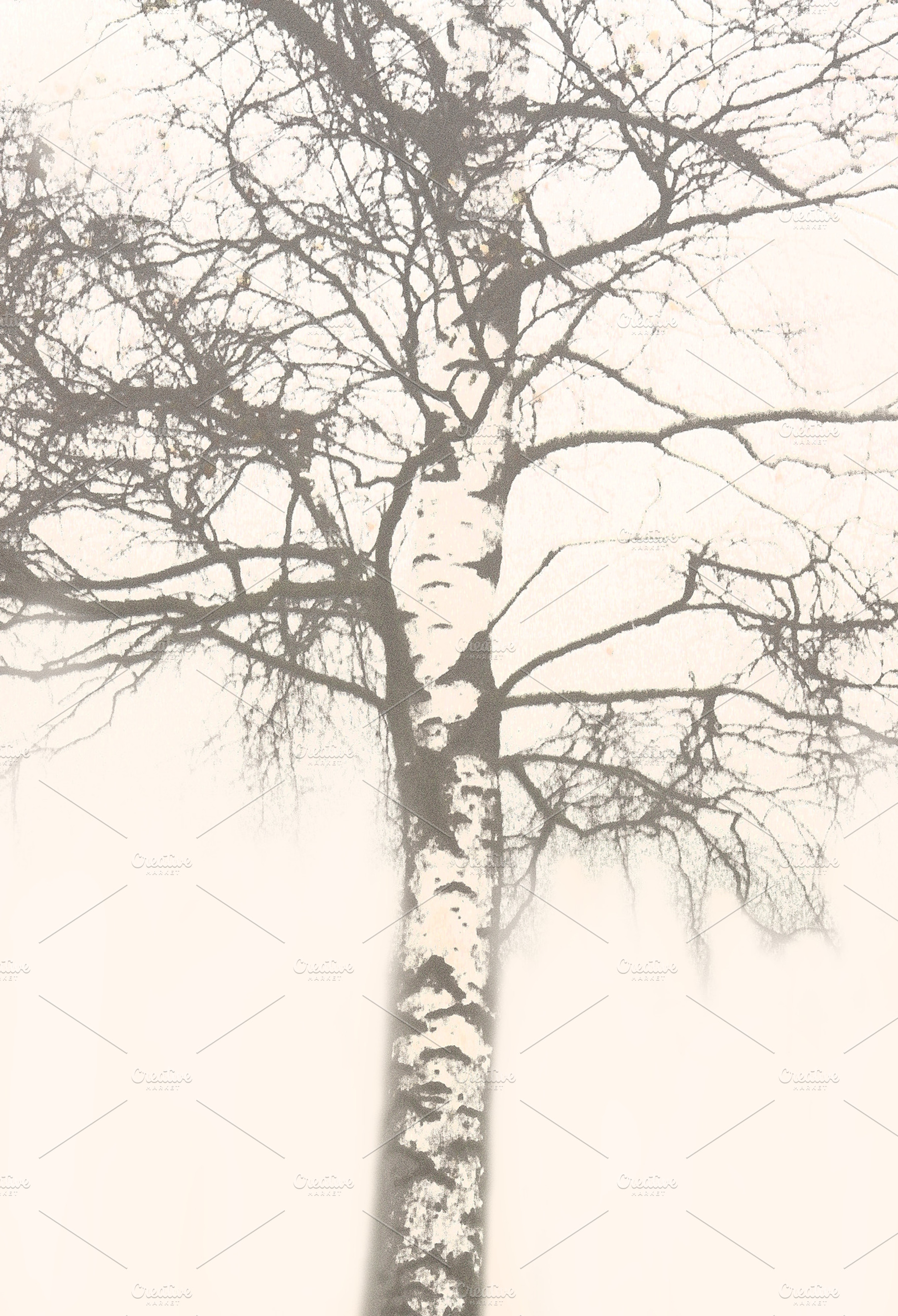 vintage tree