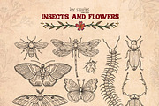 Insects and Flowers, an Animal Illustration by Ink Stories (Thumbnail 3 of 15)