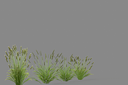 Shrub 2, an Environmental 3D Model by AndrewWhite (Thumbnail 9 of 14)