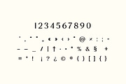 Venora Rosalind Elegant Serif Font, a Serif Font by UICreative (Thumbnail 7 of 13)