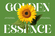 Manile Vintage Modern Bold Serif, a Serif Font by timelesstype.co (Thumbnail 5 of 20)