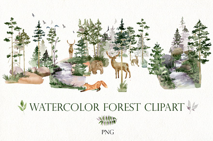 Watercolor forest clipart., a Decorative Illustration by TaPilipa