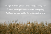 Moonlit Lovers Romantic Script Font, a Handwritten Font by Kellie Jayne Studio (Thumbnail 4 of 10)