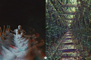 Endless Photo Effect, a Texture Graphic by Freezerondigital (Thumbnail 9 of 13)