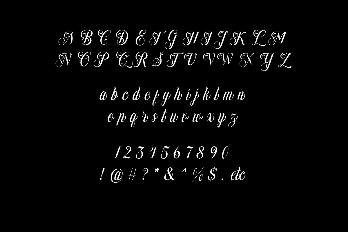 Dollarios - Calligraphy, a Script Font by INKSUN™ (Photo 6 of 8)