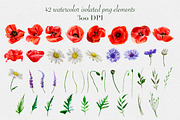 Watercolor wildflowers collection, a Decorative Illustration by mArtstore (Thumbnail 7 of 8)
