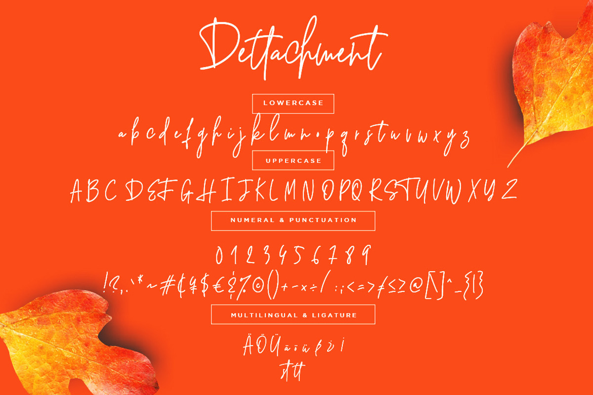 Dettachment Handwritten Wedding Font preview 7