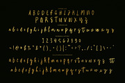 Fiore Raro - Brush Signature, a Handwritten Font by tebaltipislab (Thumbnail 7 of 9)