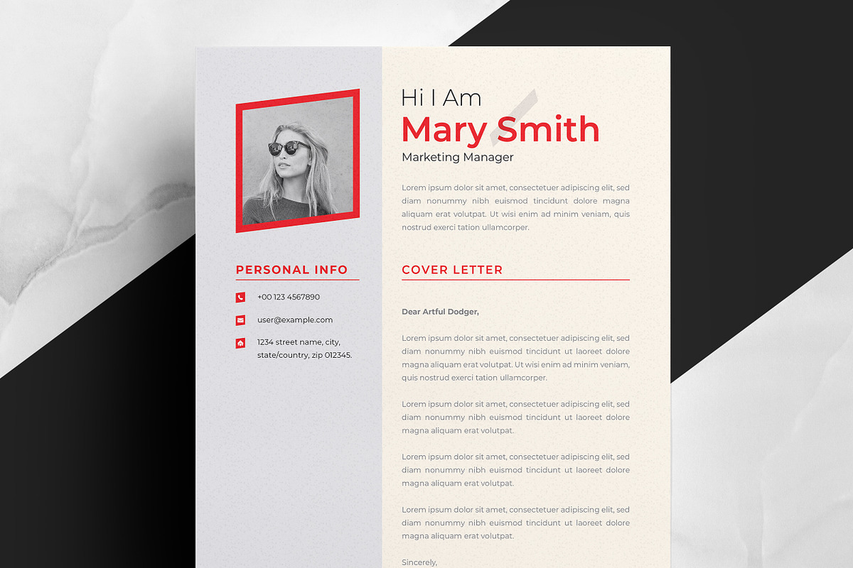 Professional CV for Job Seekers preview 3