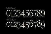 AV Galveria - Display Serif Font, a Serif Font by Uncarving (Thumbnail 10 of 20)