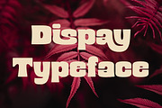 Mibery Retro Bold Serif, a Serif Font by Cruzine (Thumbnail 5 of 10)