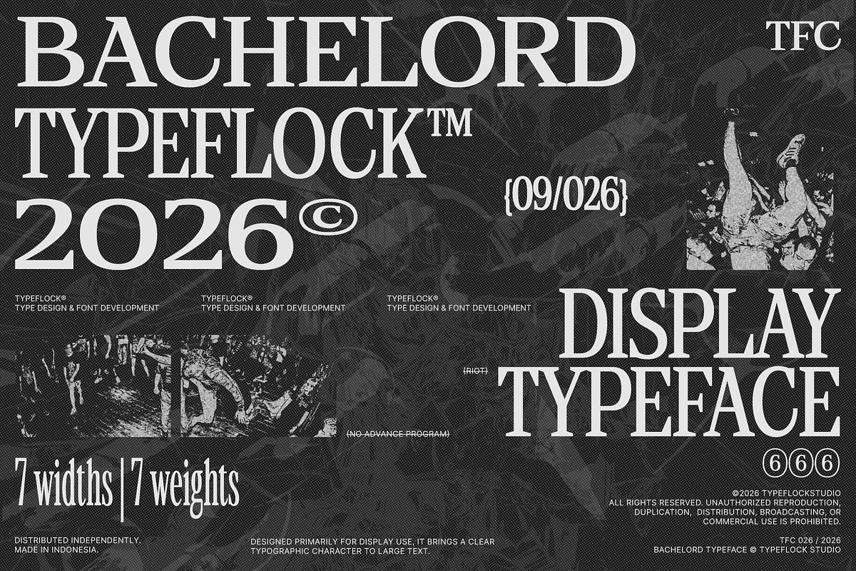 TFC Bachelord - High Contrast Font, a Sans Serif Font by Type Flock (Photo 4 of 15)