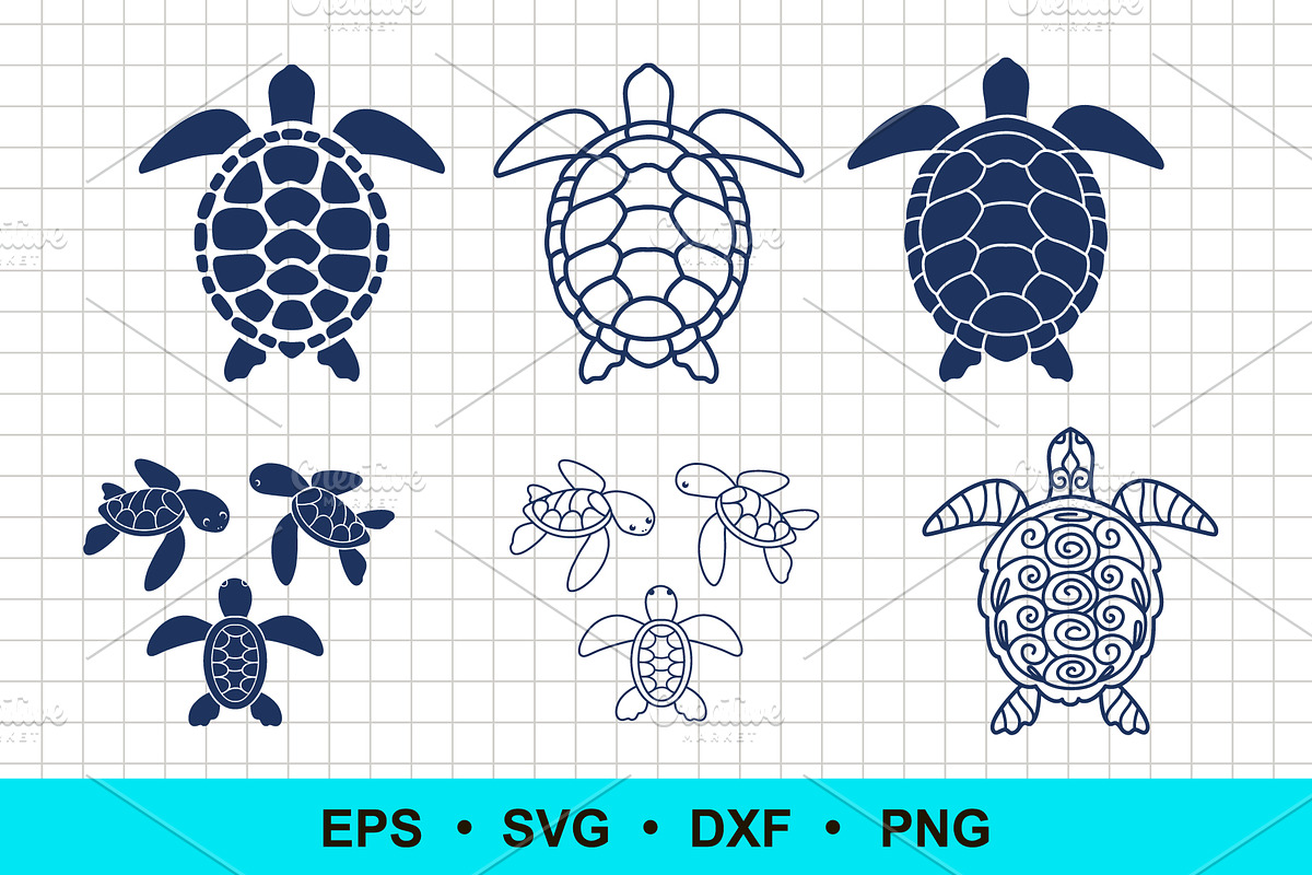 Sea Turtle Vector Clip Art, an Animal Illustration by Elena Nesterova (Photo 1 of 2)