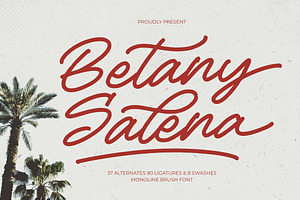 Betany Salena Monoline Brush Font, a Script Font by Letterena Studios Script