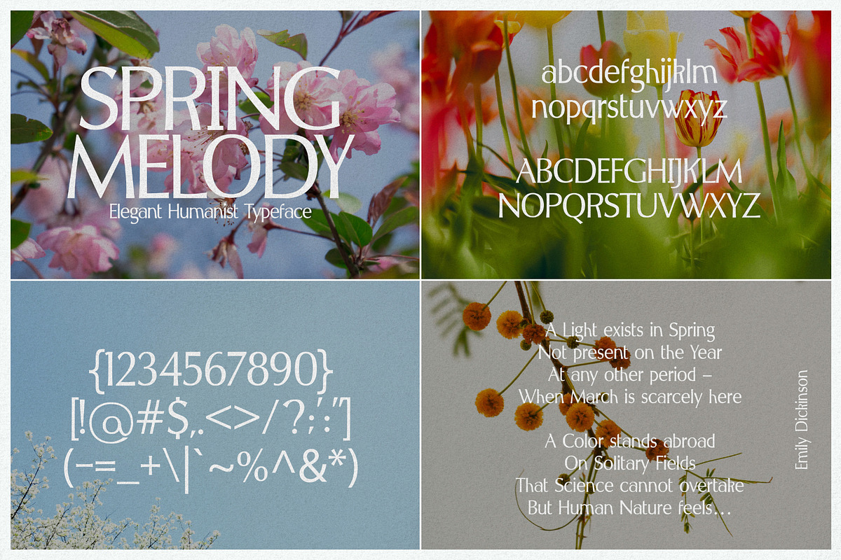 The Fashion Font Bundle (18 Fonts), a Serif Font by HipFonts (Photo 16 of 18)