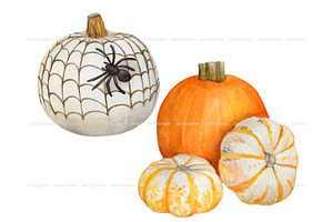 Watercolor Halloween Decoration