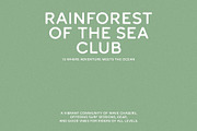 Coral&Reef - Vintage Sans Serif, a Sans Serif Font by Mikhail Kitsune (Thumbnail 4 of 8)