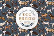 Dog breeds - sketches & lettering, an Animal Illustration by handsketched (Thumbnail 1 of 10)