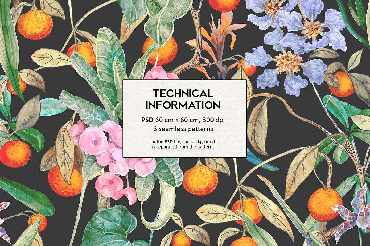 Azura. Tropical pattern, a Pattern Graphic by emeraldthue (Photo 5 of 6)