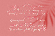 Felisia, a Handwritten Font by Integritype Studio (Thumbnail 9 of 11)