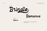 Brindle — Bold Script Display Font, a Handwritten Font by Hasbi Creative (Thumbnail 5 of 12)