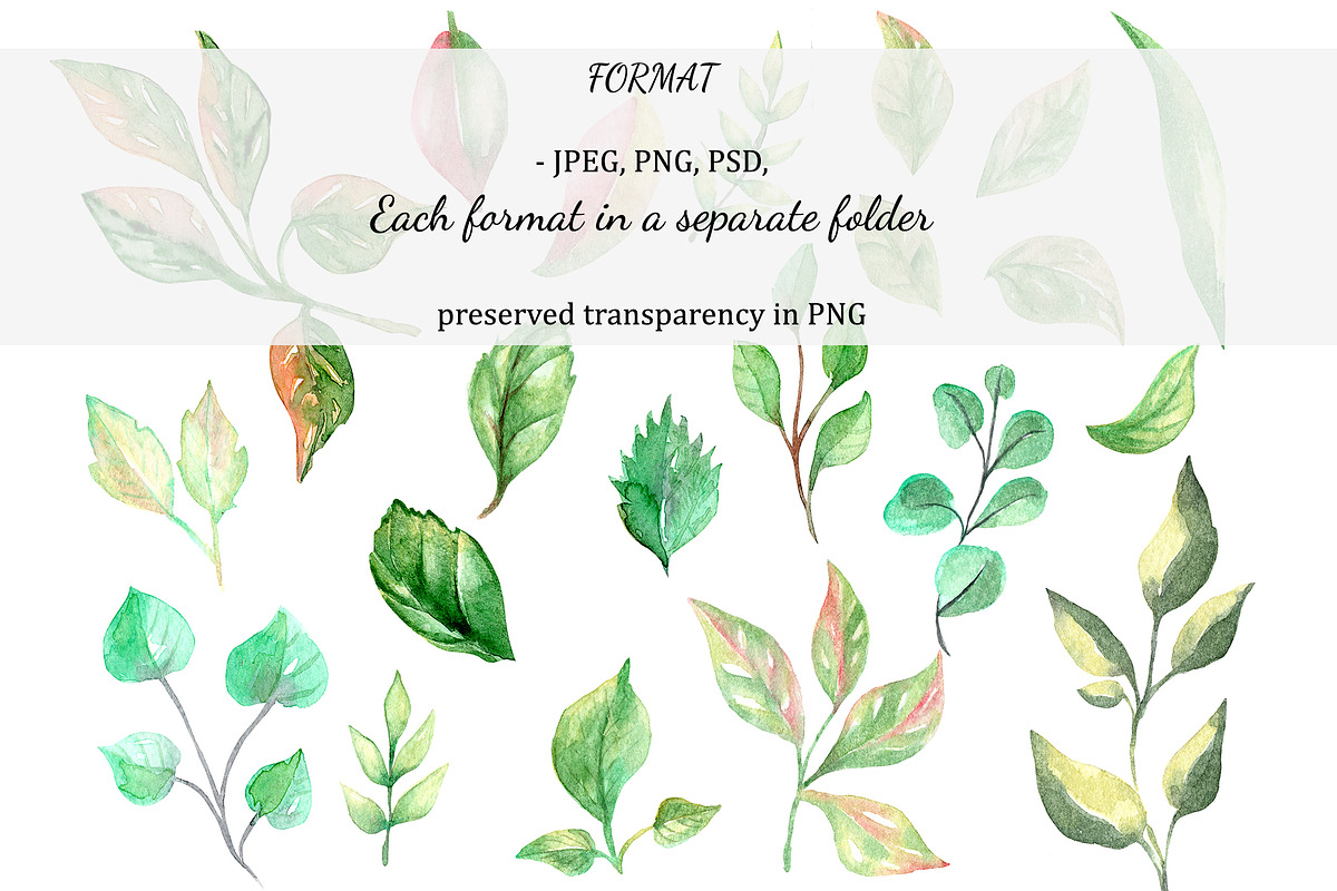 Watercolor Leaves Set, an Object Graphic by YuMyart (Photo 3 of 4)