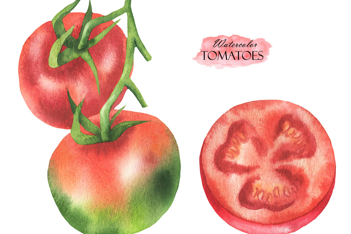 Watercolor Tomatoes, a Food Illustration by OlDm_Shop (Photo 3 of 5)