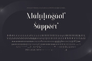 Stetling - Elegant Modern Serif Font, a Serif Font by Zeatype (Thumbnail 9 of 11)