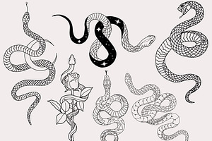 30 Procreate Snake Stamps