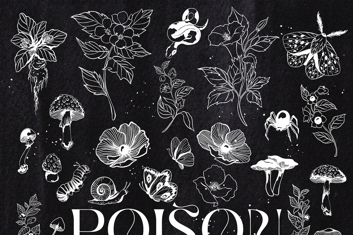 Poison. Watercolor and line art., an Object Illustration by ma_i_vi (Photo 5 of 12)