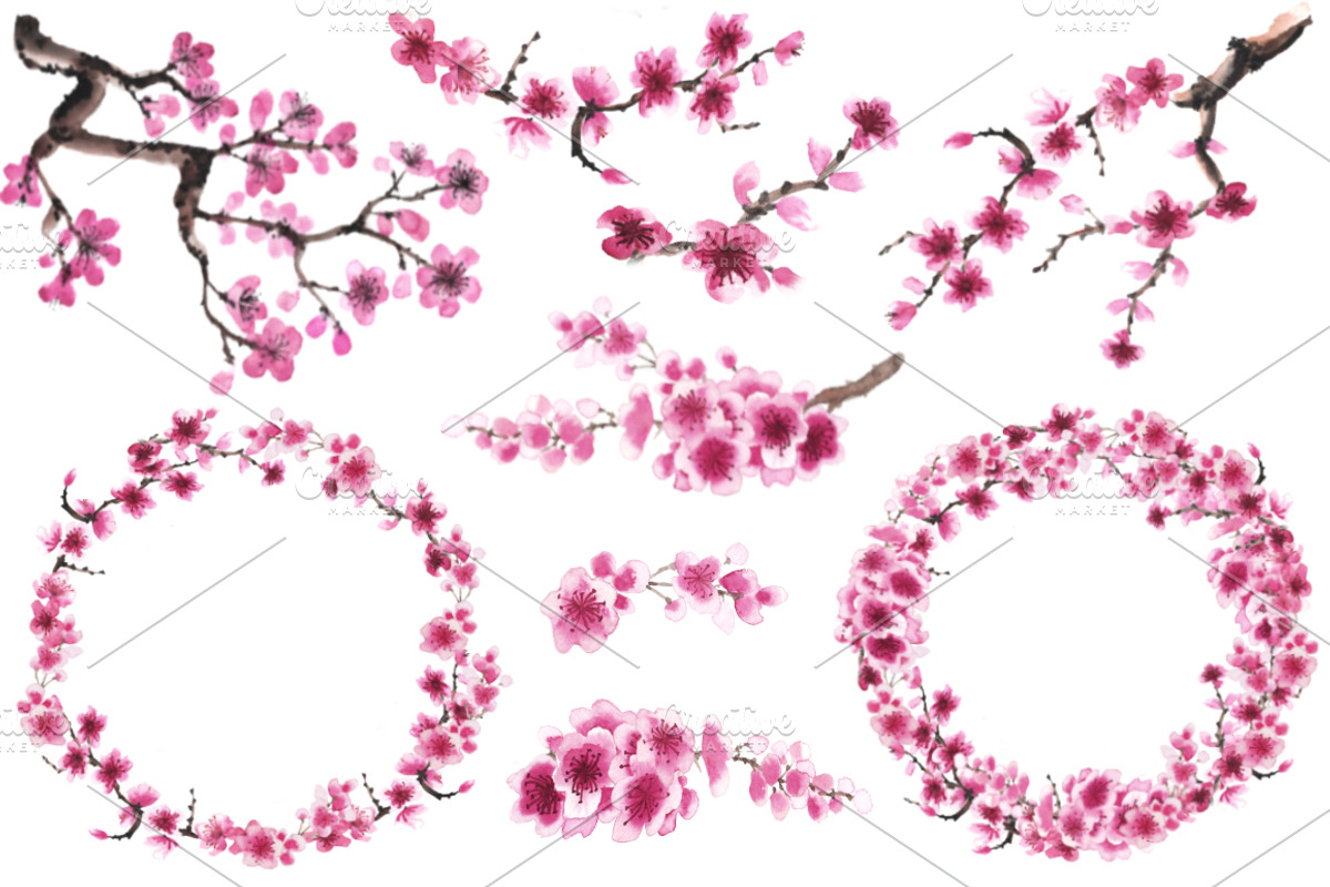 Cherry Blossom Watercolor Collection, a Decorative Illustration by Sveta Aho (Photo 2 of 6)
