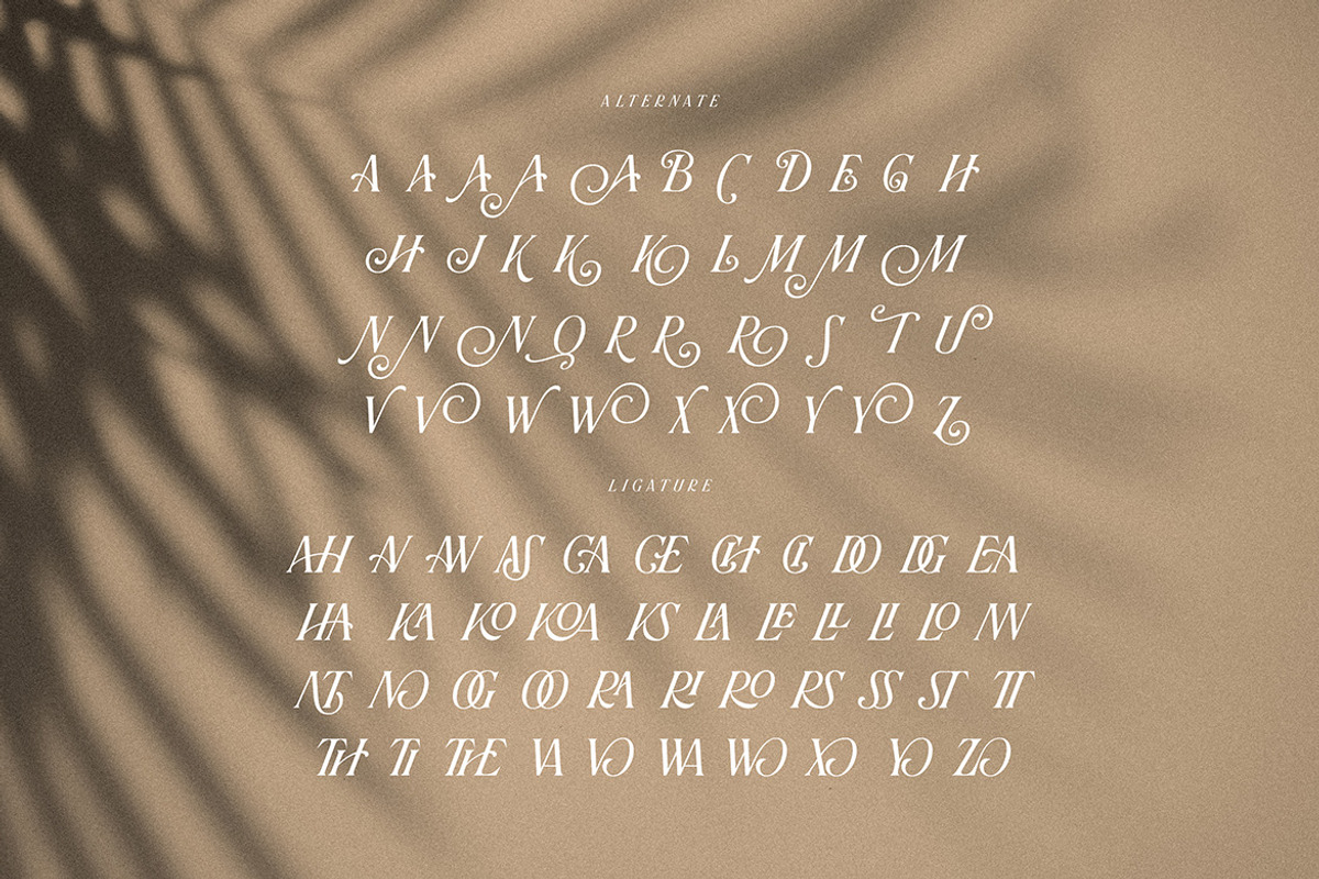 Theader Unique Vintage Serif, a Serif Font by Cruzine (Photo 7 of 8)