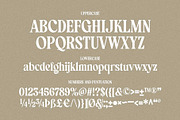 Manshera Romika - Modern Vintage, a Serif Font by Arterfak Project (Thumbnail 13 of 15)