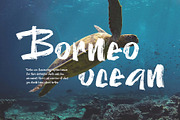 Hogan Brush - Brush Font Typeface, a Handwritten Font by Aksapix Studio (Thumbnail 6 of 7)