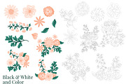 Floral Vector Clip Art | Daphney, an Illustration by Preyer Design (Thumbnail 2 of 5)